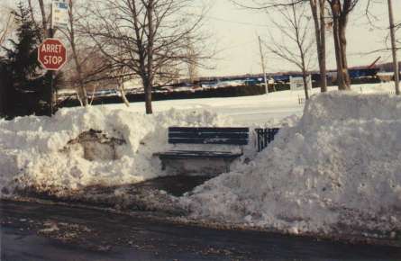 Image: Churchill bus stop