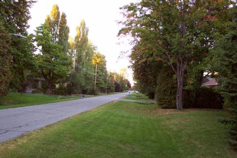 Image: Looking up my street