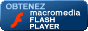 T&eacute;l&eacute;charger / Download Flash Player