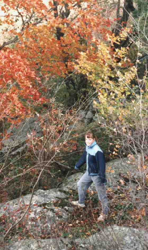 automne