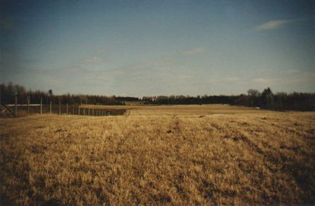 Image: field