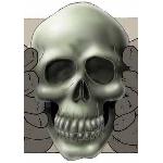 crystal skull.jpg (7575 octets)